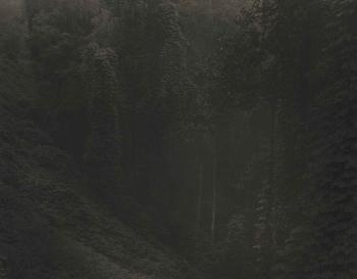Untitled, from 'Deep South', 1996 by Sally Mann