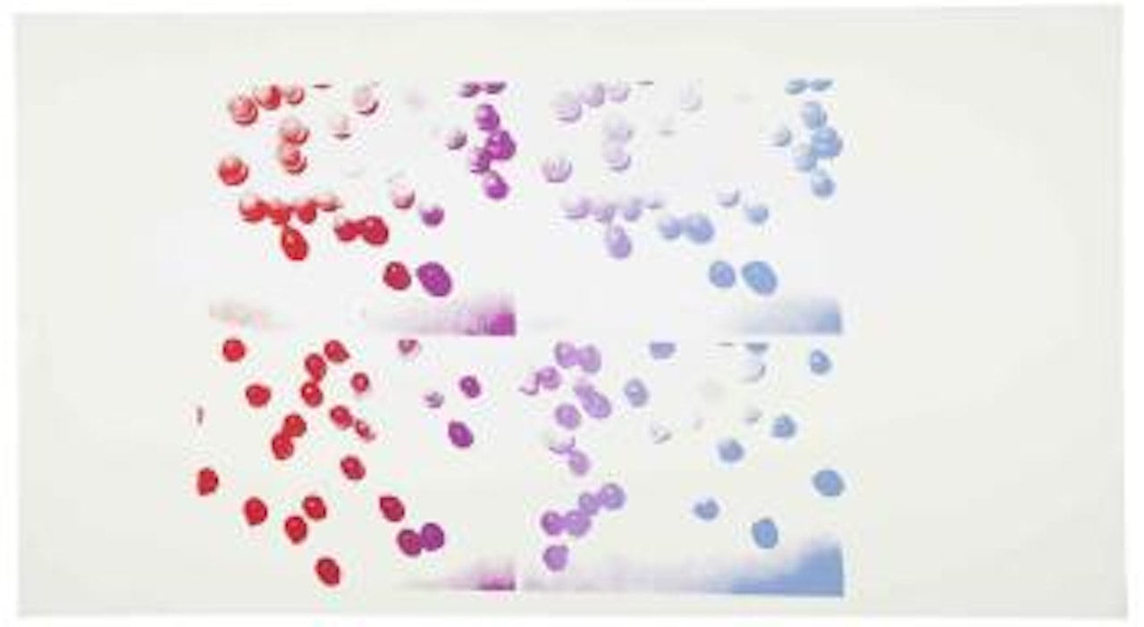 Grapes by Andy Warhol