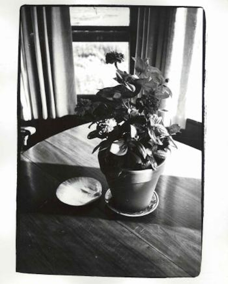 Clamshell and Flowers by Andy Warhol