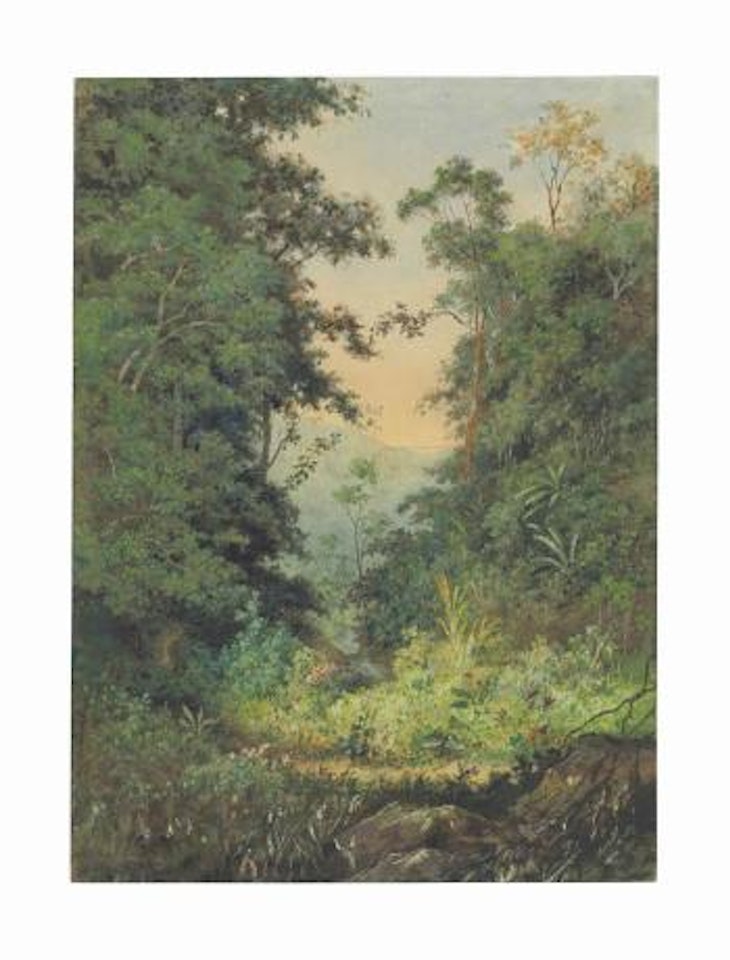 Landscape, Trinidad by Michel J Cazabon