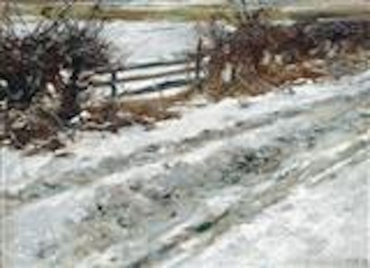 “Weg im Winter, Klausen' (Path in Winter) by Alexander Koester