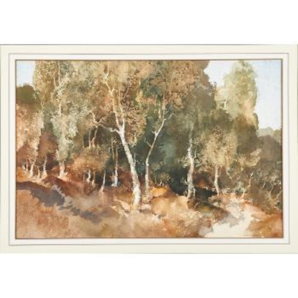 Autumn in Surrey Wood by William Russell Flint