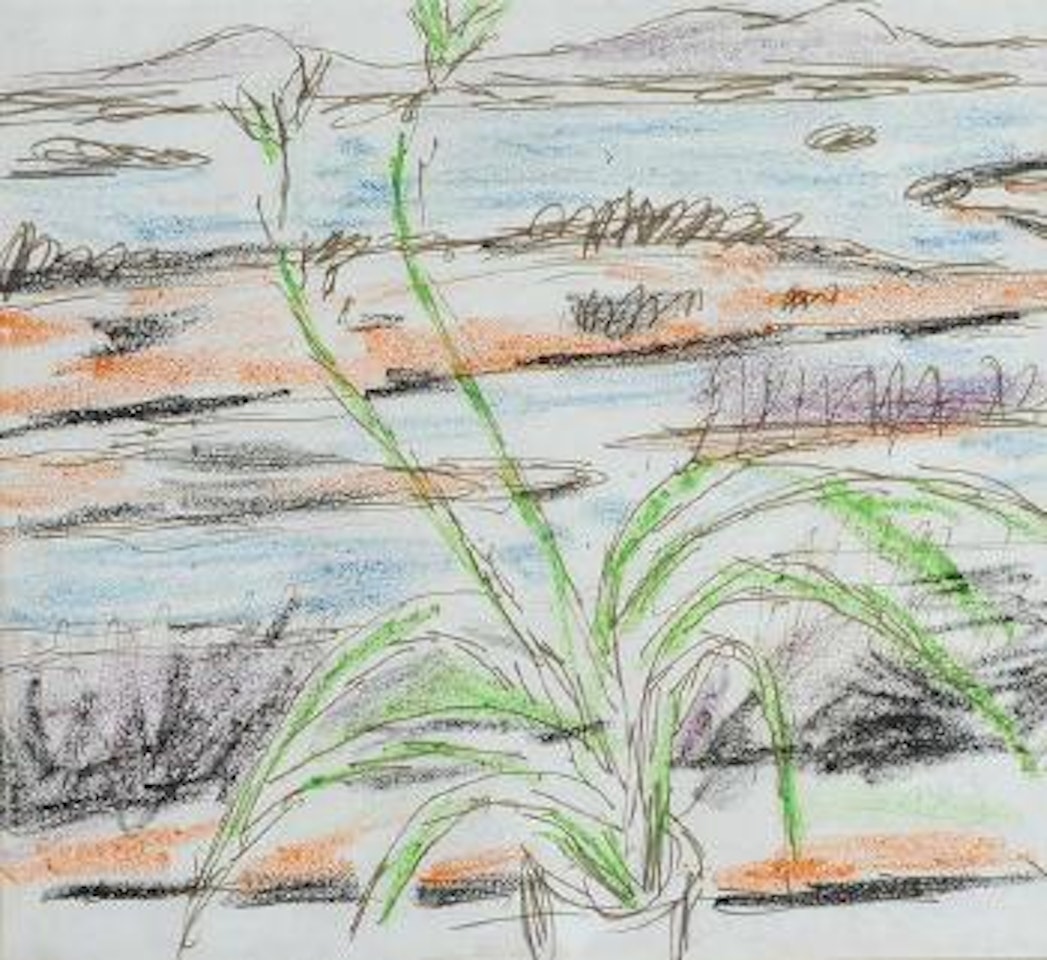 Still Life and Landscape by Norah McGuinness