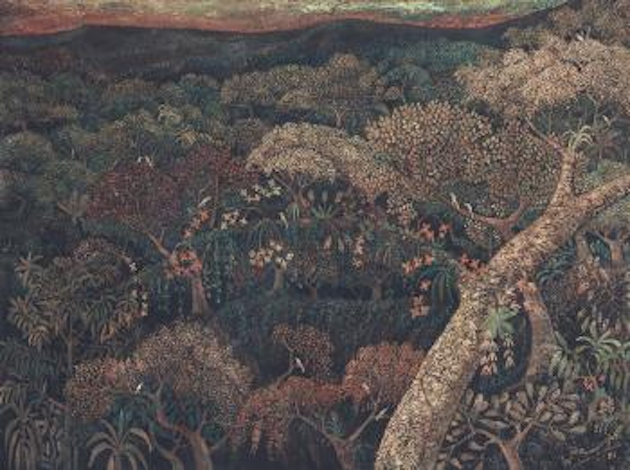 Anggrek di Hutan (Orchids in the Forest) by Haji Widayat