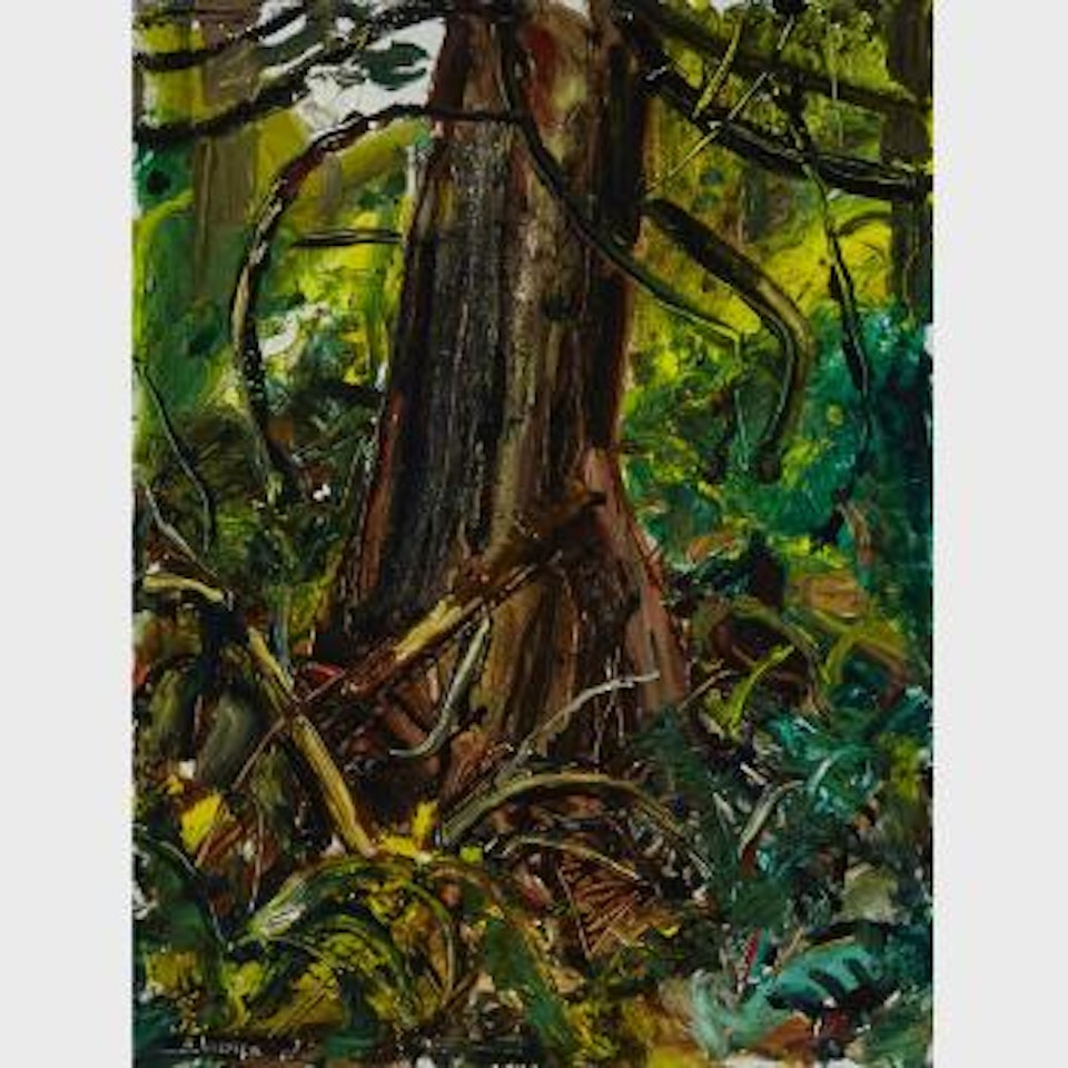 Redwood by Arthur Lismer
