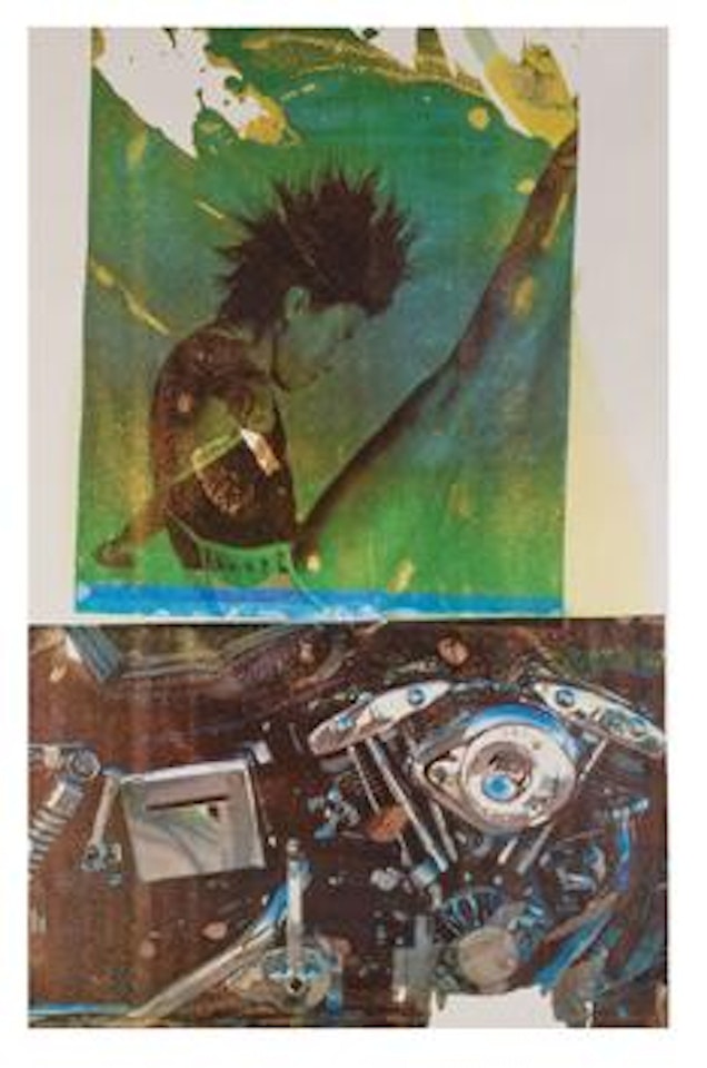 Sports by Robert Rauschenberg