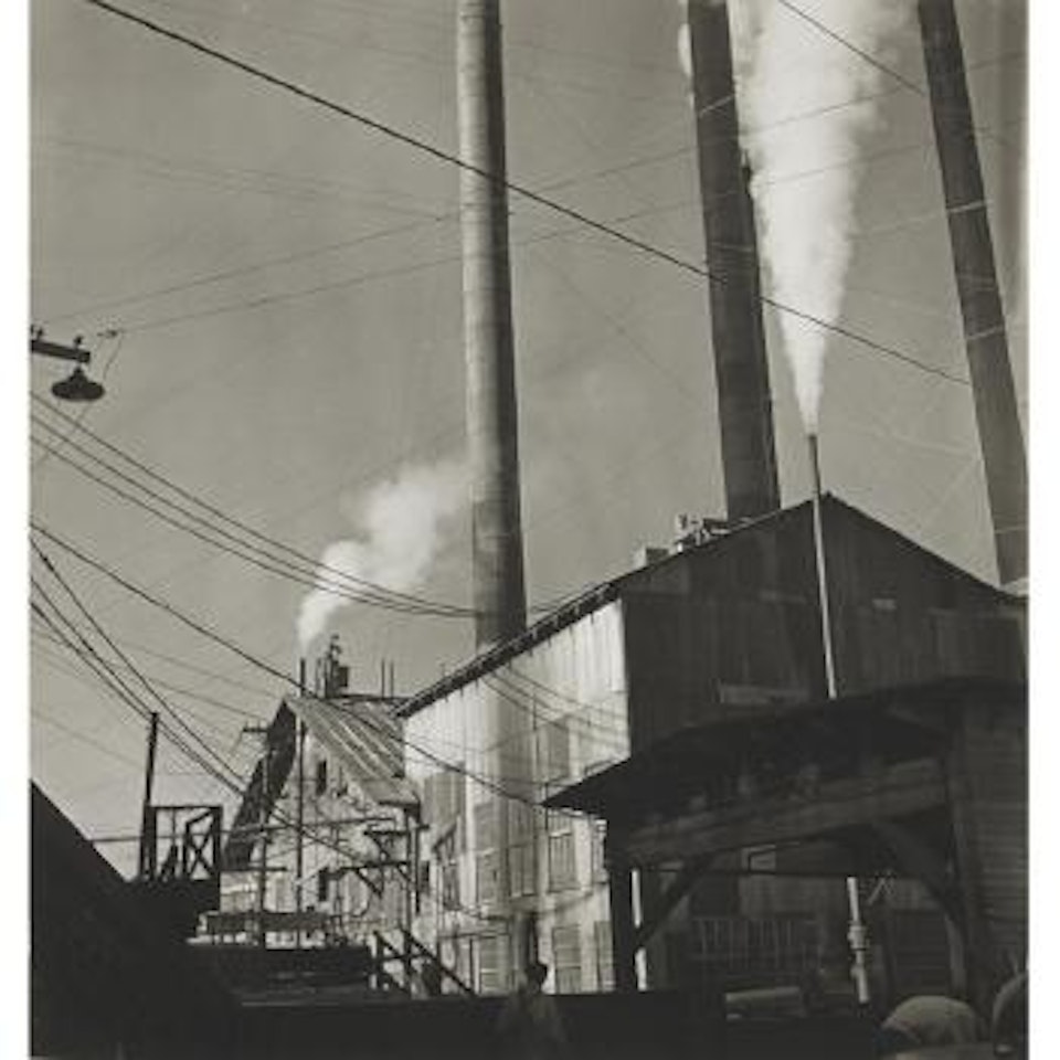 Untitled (Paul Bunyan Pine); Smokestacks, Lumber Mill, (variant) by Berenice Abbott