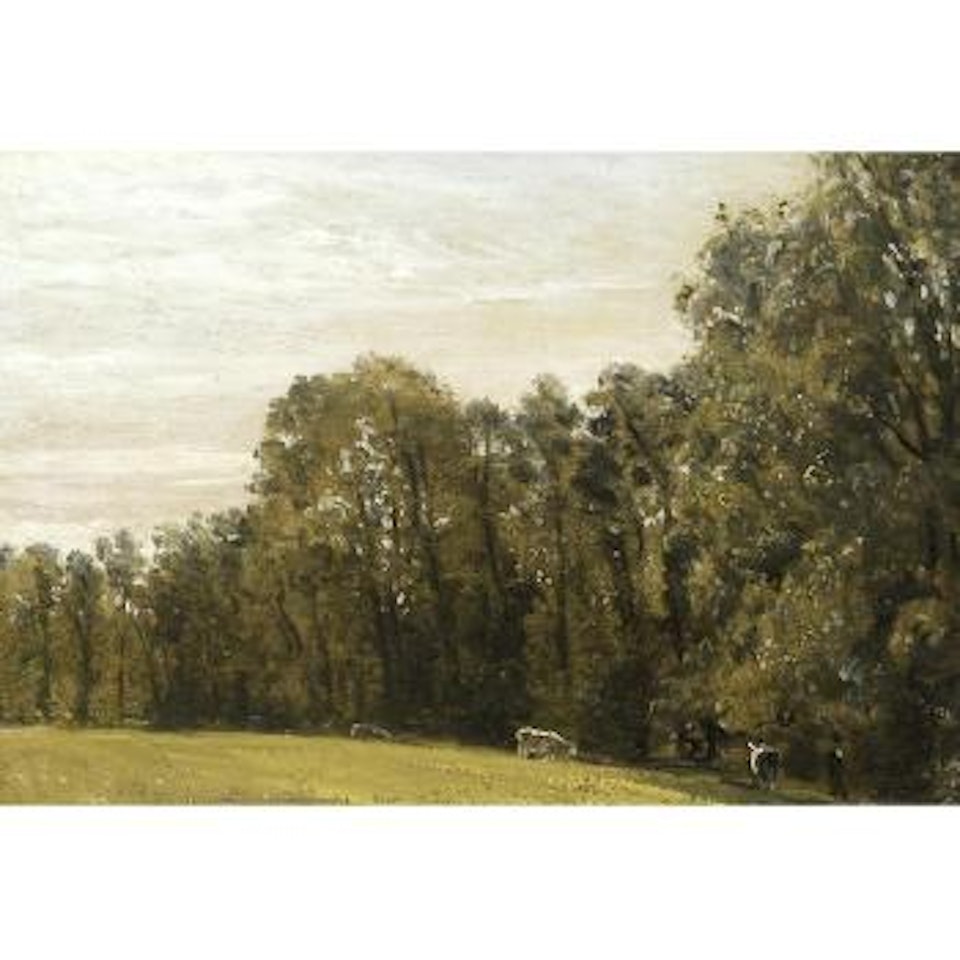 A view at hampstead by Lionel Constable