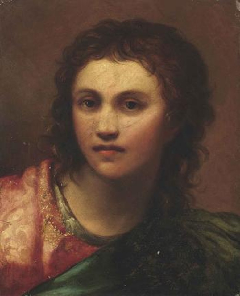 Head of a boy by Florentine School