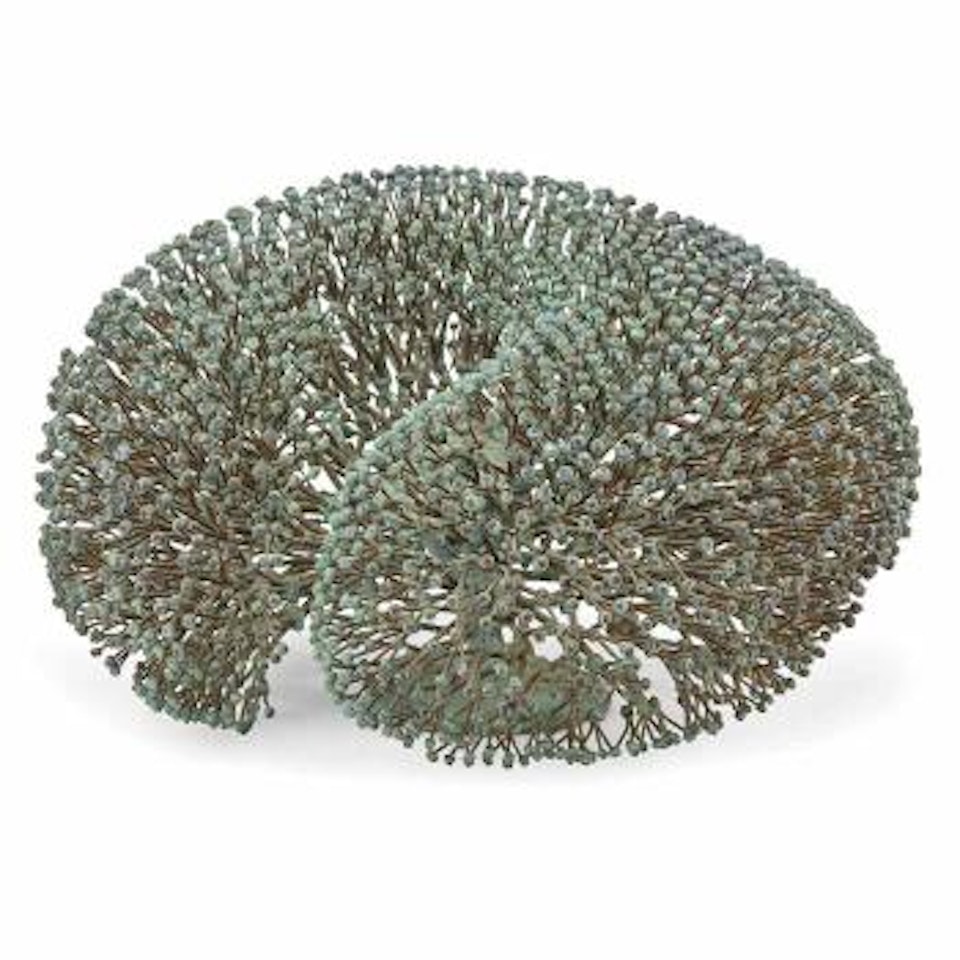 Bush by Harry Bertoia