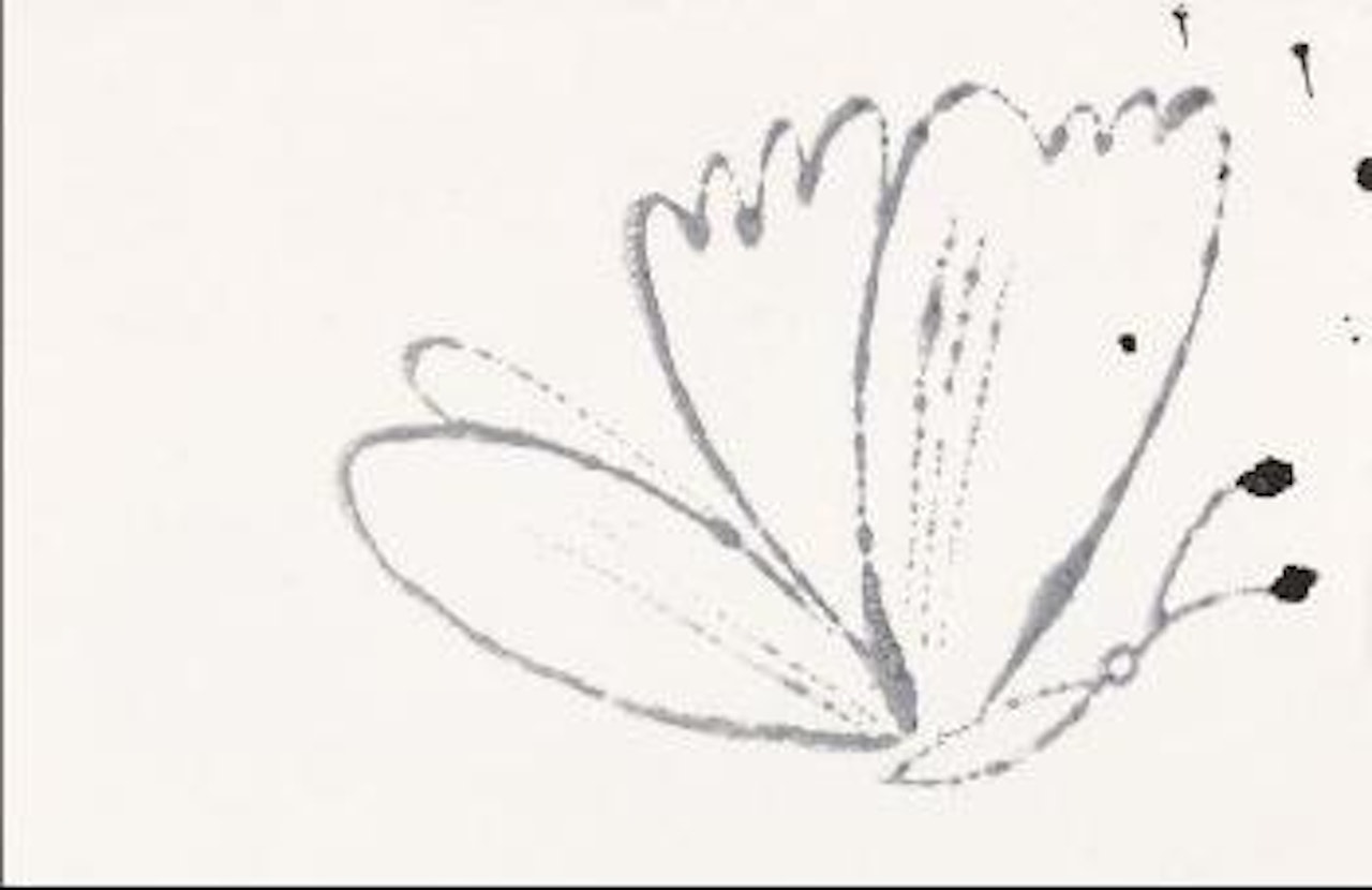 Butterfly by Andy Warhol