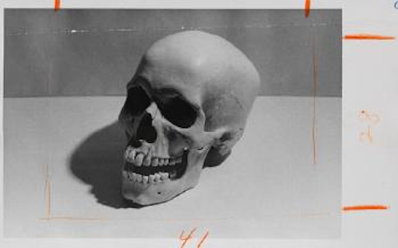 Skull by Andy Warhol