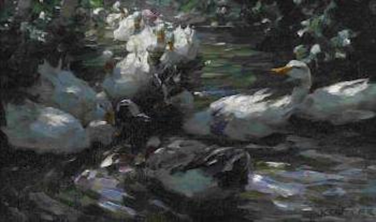 Enten im Wasser by Alexander Koester