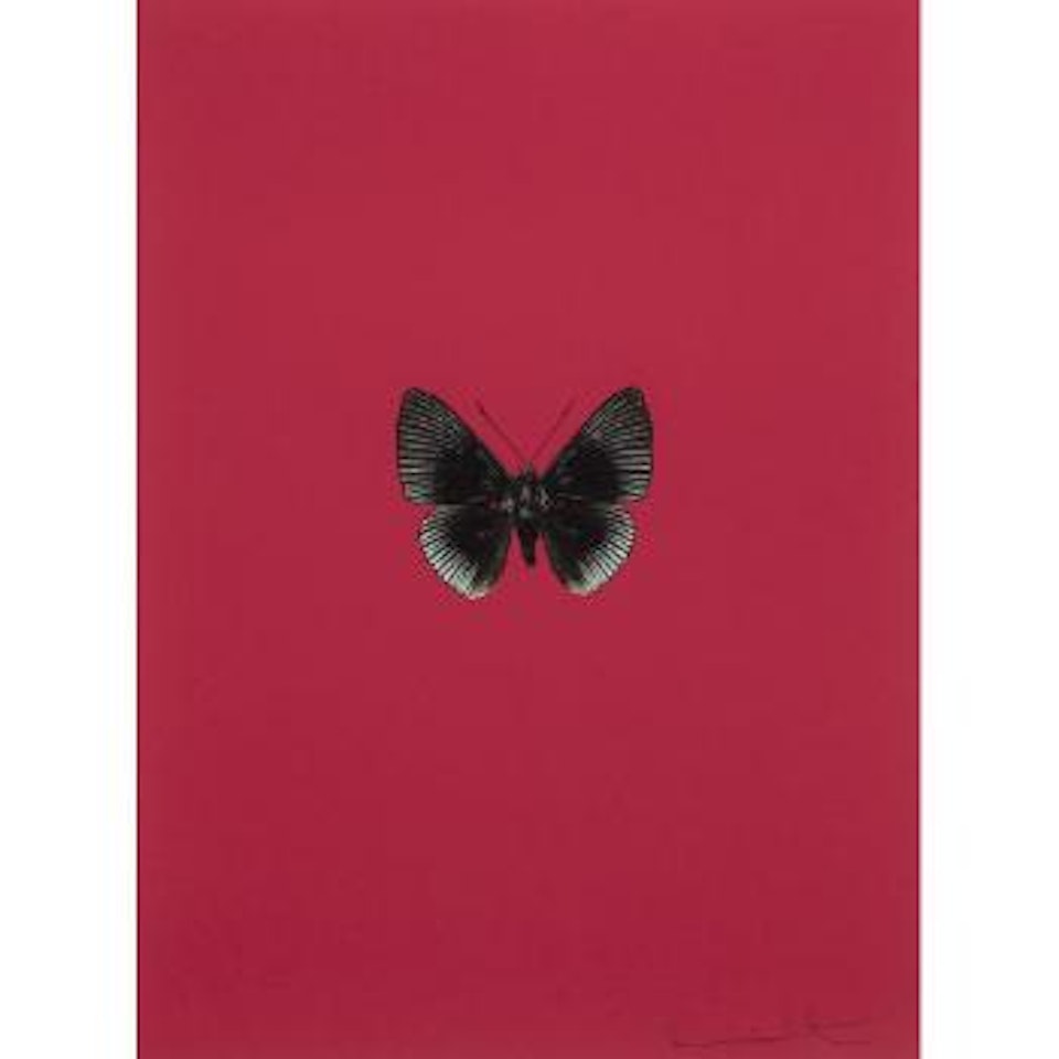 Untitled, from Its a Beautiful Day by Damien Hirst