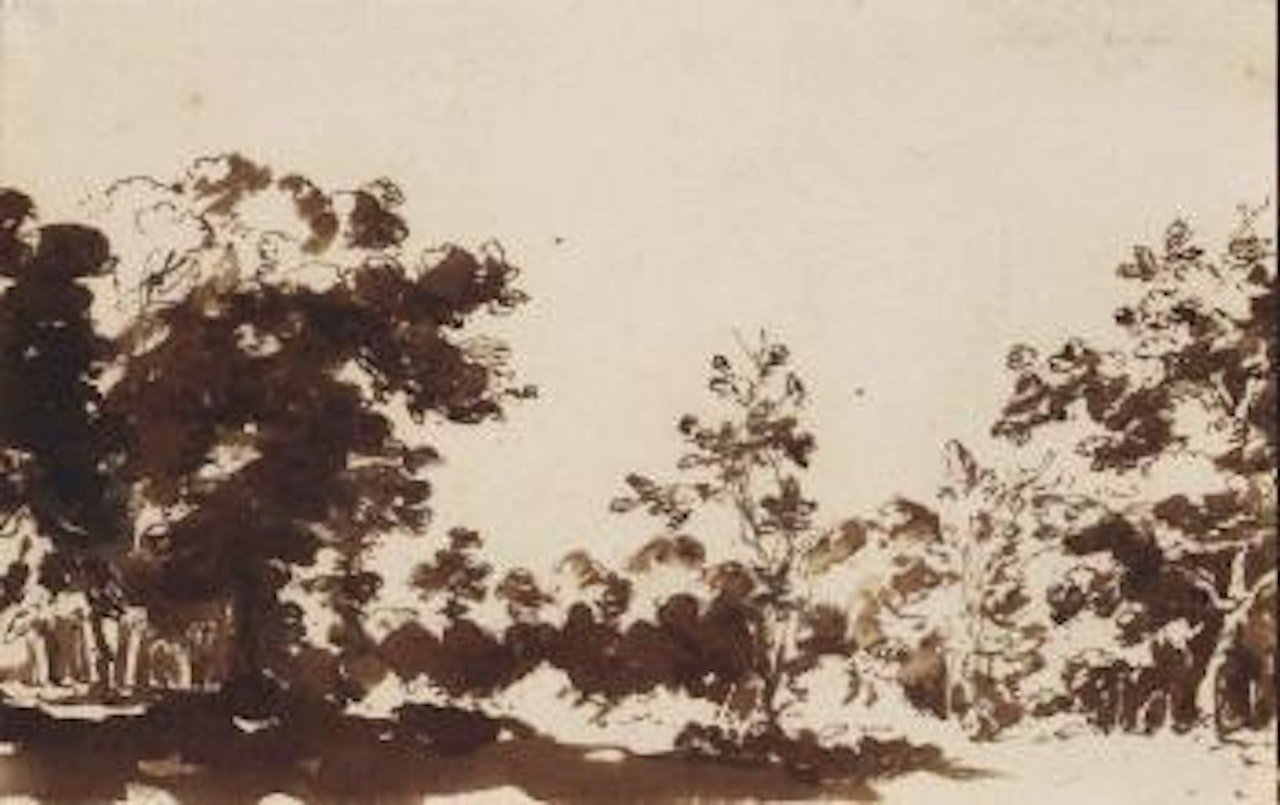 View of the woods at The Hague by Jan de Bisschop