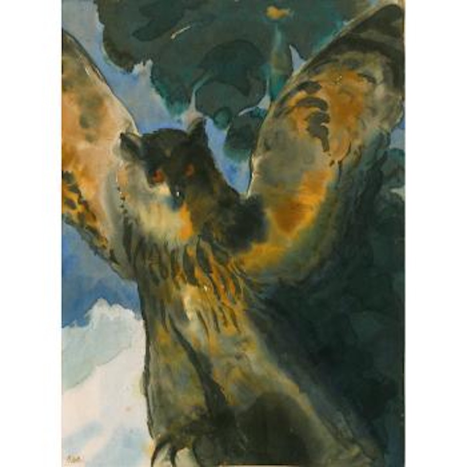 Eule by Emil Nolde