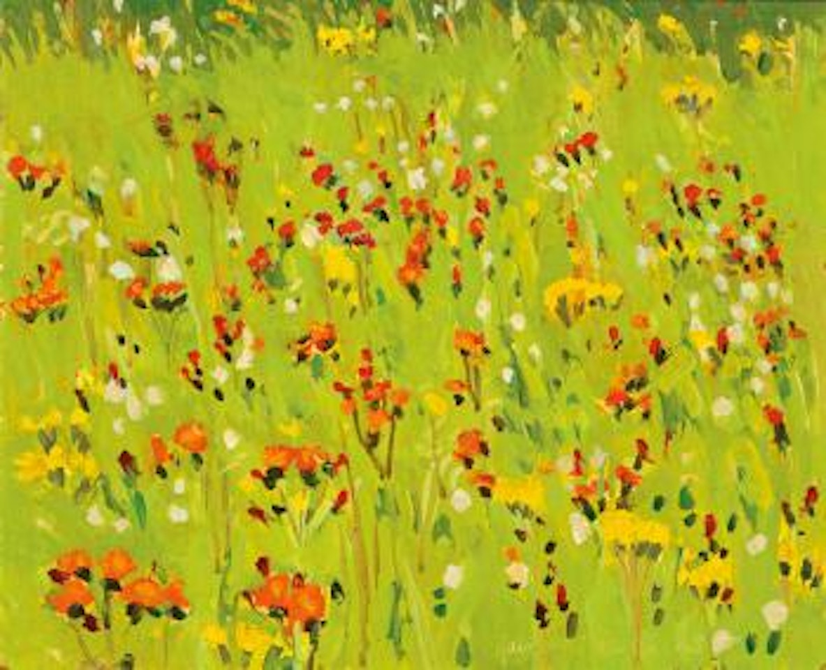 Hawkweed by Fairfield Porter