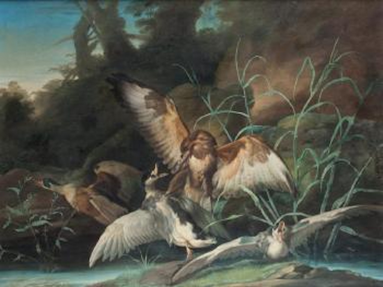 La chasse aux canards by Jean-Baptiste Oudry