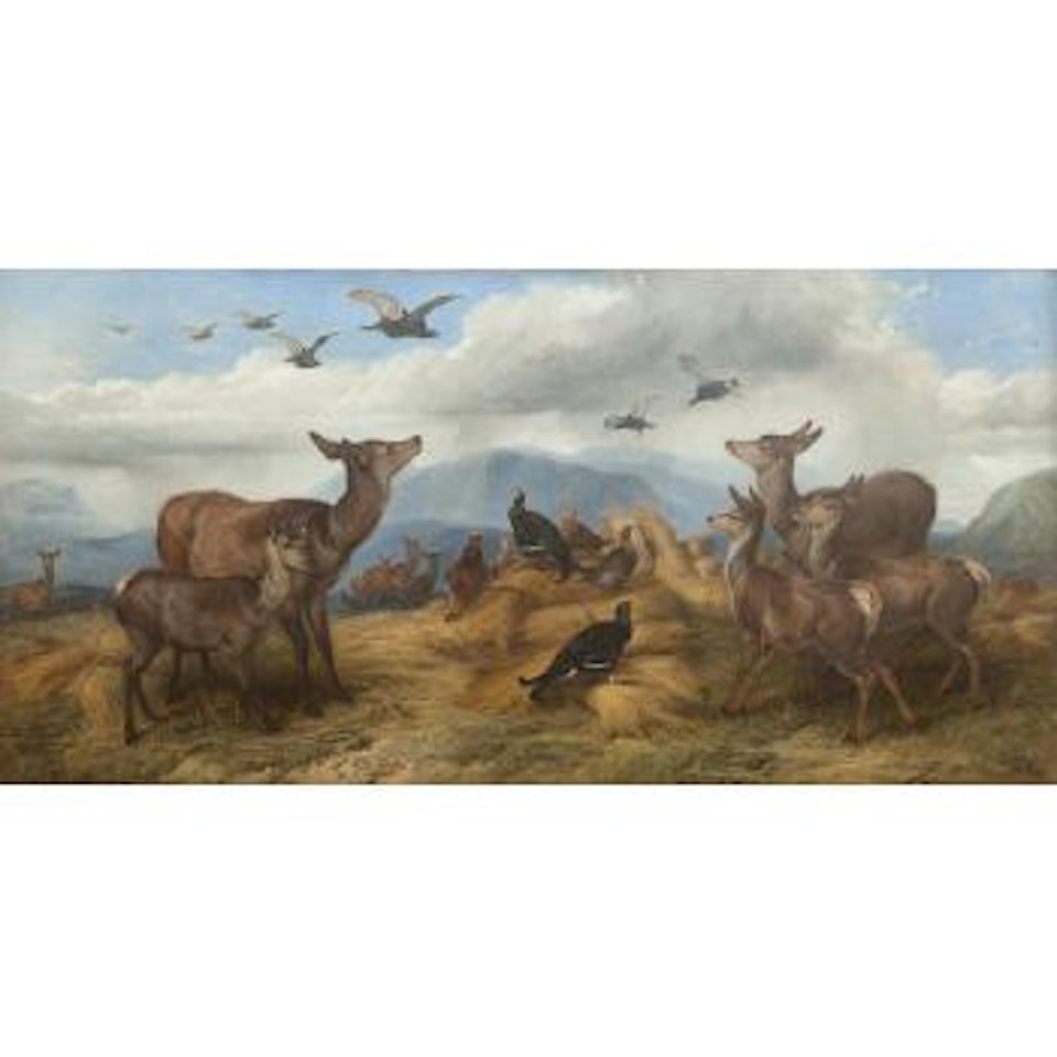 Shepherds Cover by Richard Ansdell