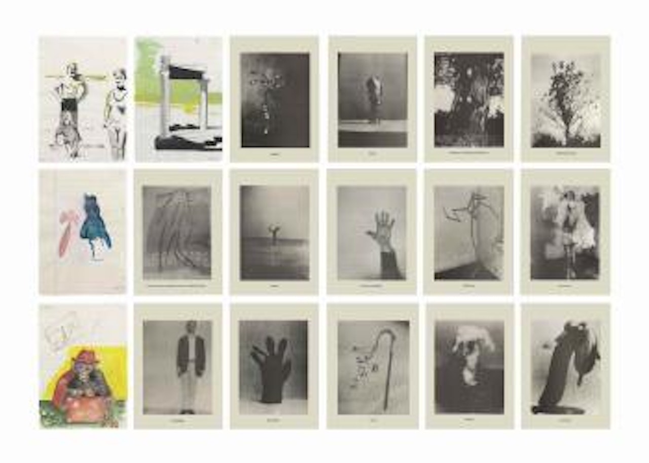 Höhere Wesen befehlen by Sigmar Polke