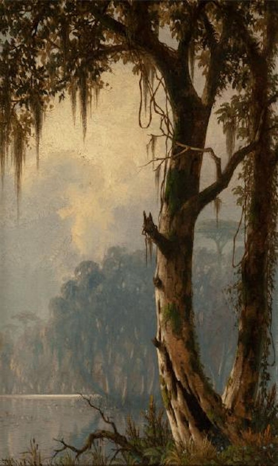 Louisiana landscape by Joseph R. Meeker