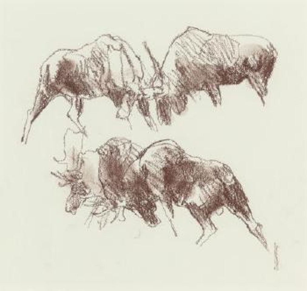 Study of Bull Moose by Bob Kuhn