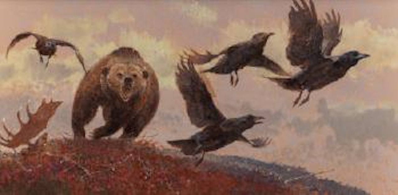 No Free Lunch by Bob Kuhn