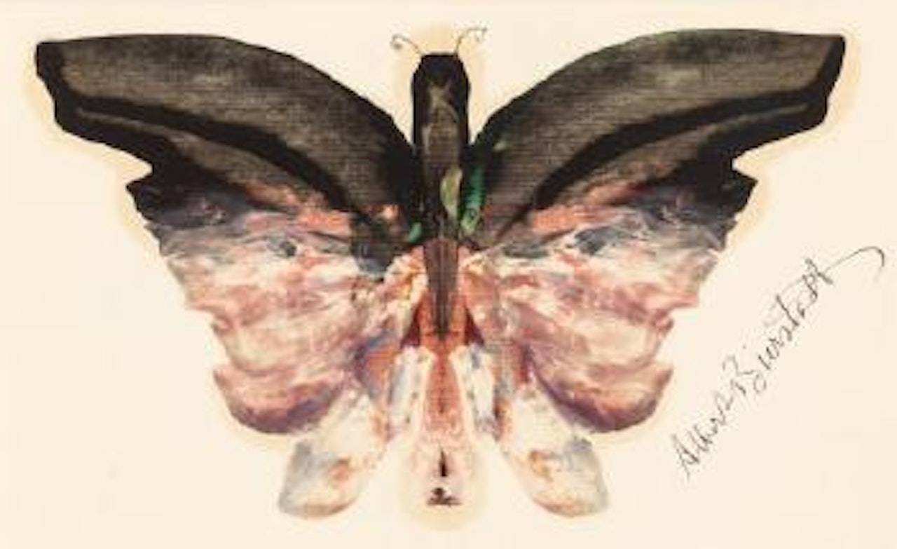 Pink Butterfly by Albert Bierstadt