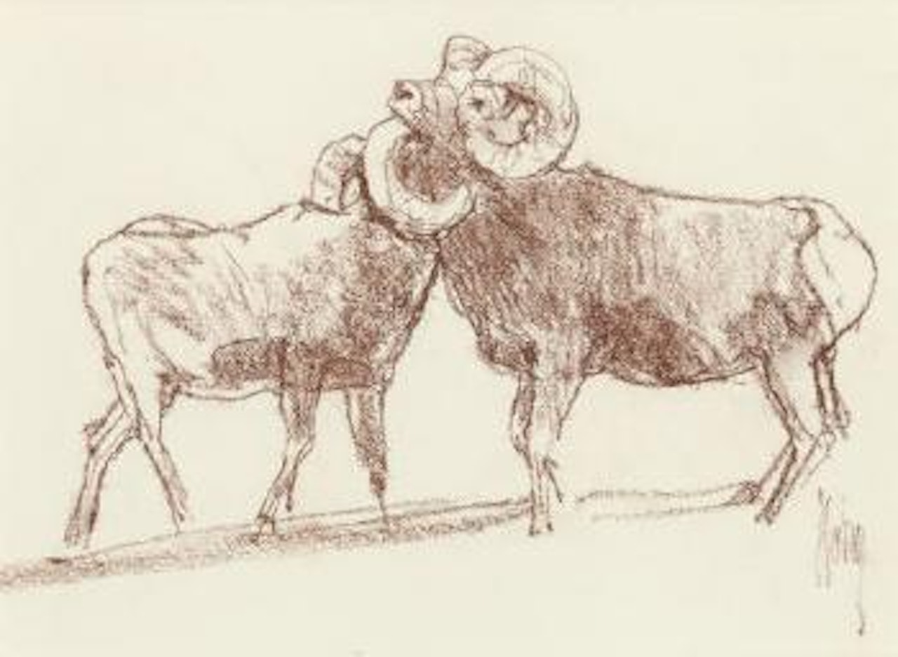 Study of Bighorns by Bob Kuhn