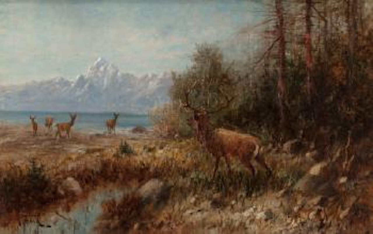 Elk on Jackson Lake, Wyoming by John Fery