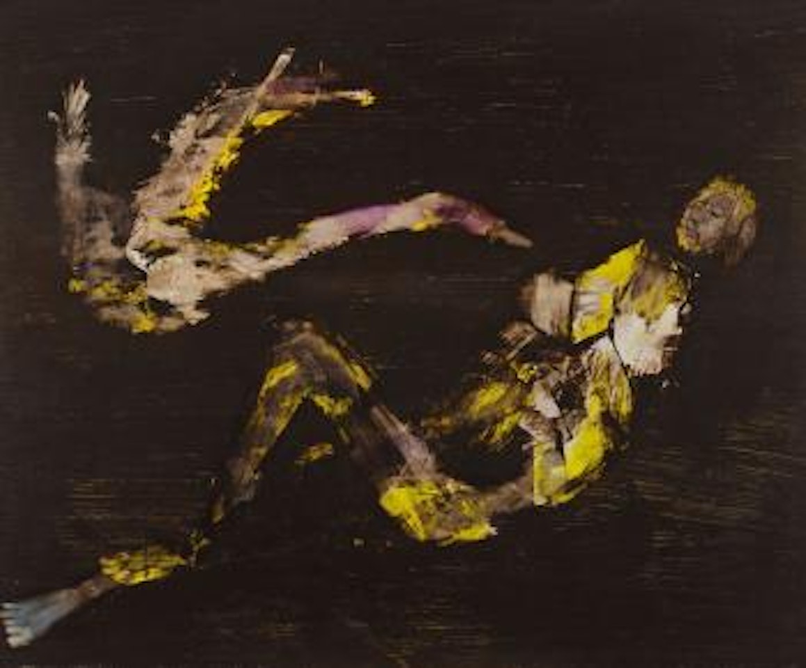 Leda and Swan by Sidney Nolan