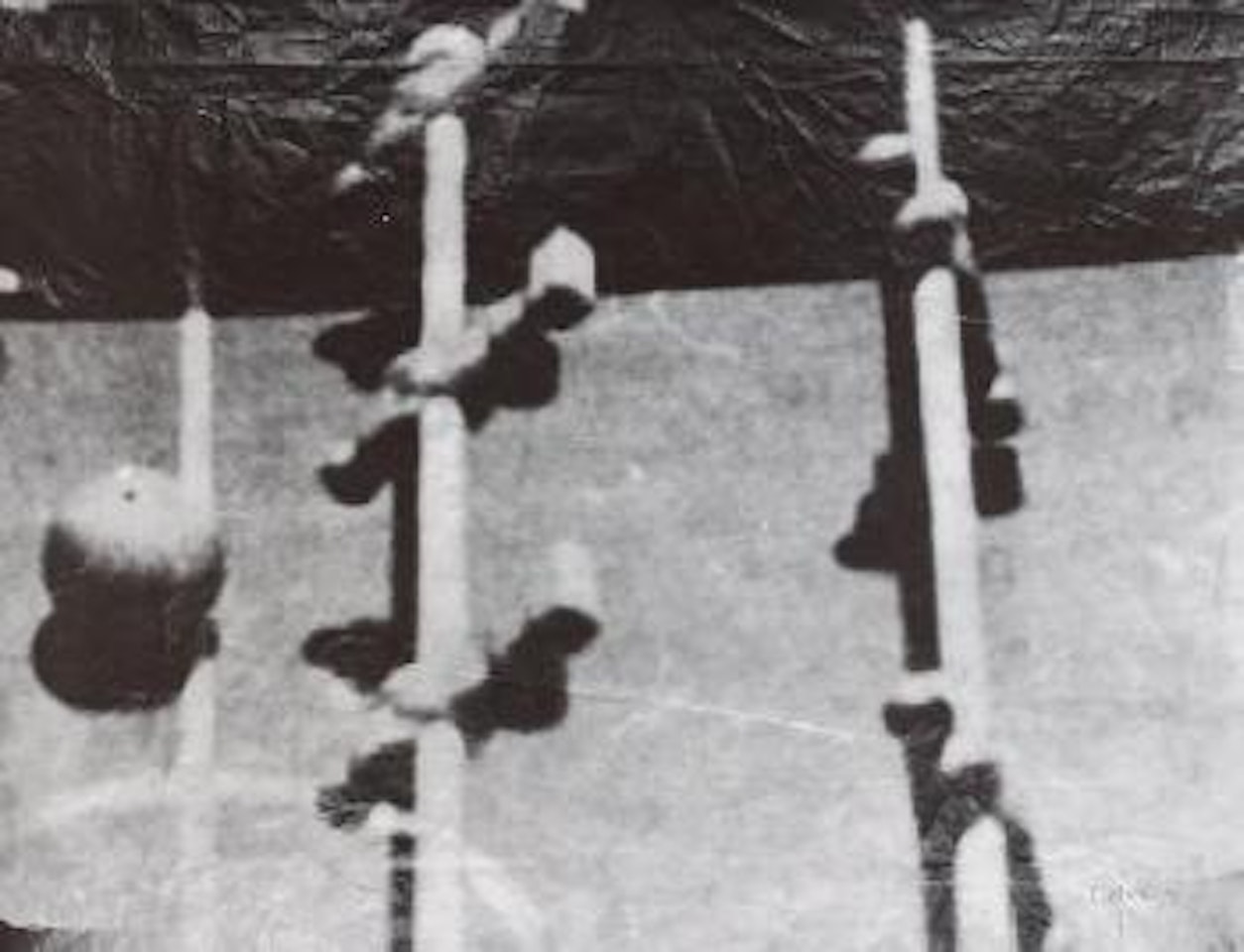 Fernsehbild (Kicker) I by Sigmar Polke