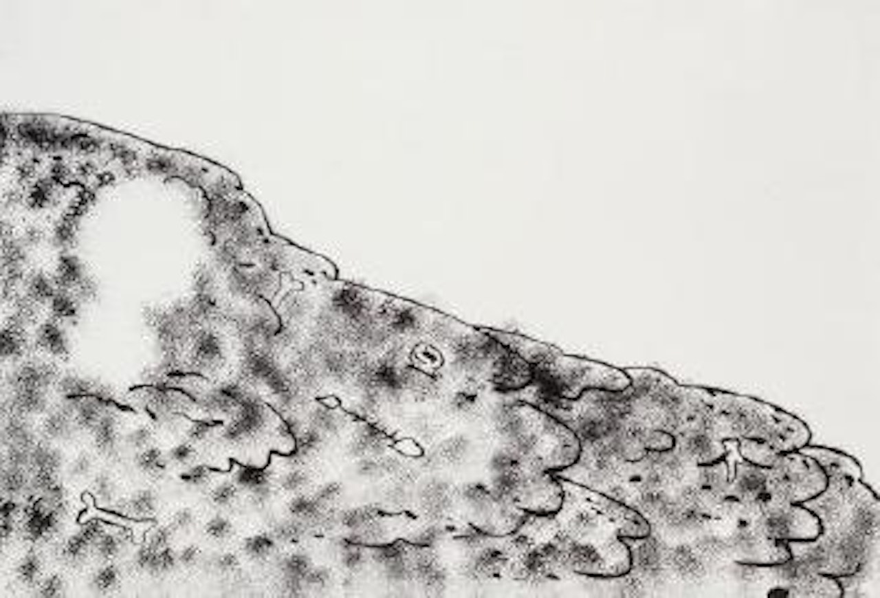 Garbage Drawing #26 by Mike Kelley