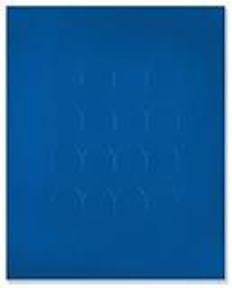 16 Ovali Blu by Turi Simeti