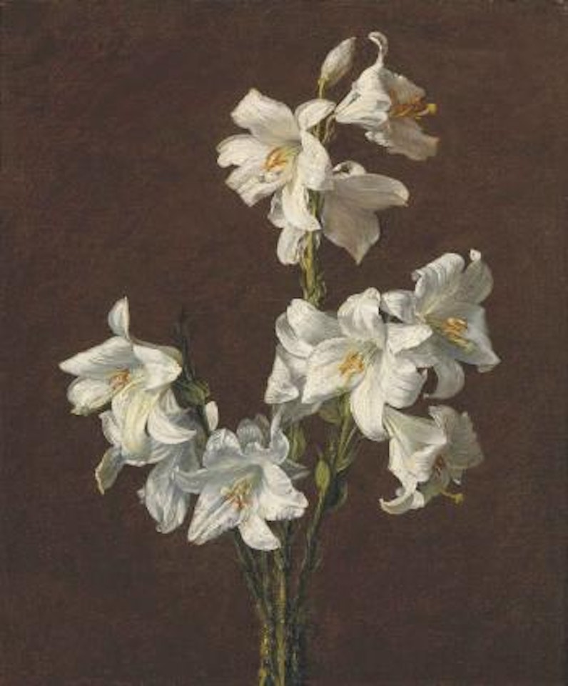 Branche de lis sans vase by Henri Fantin-Latour