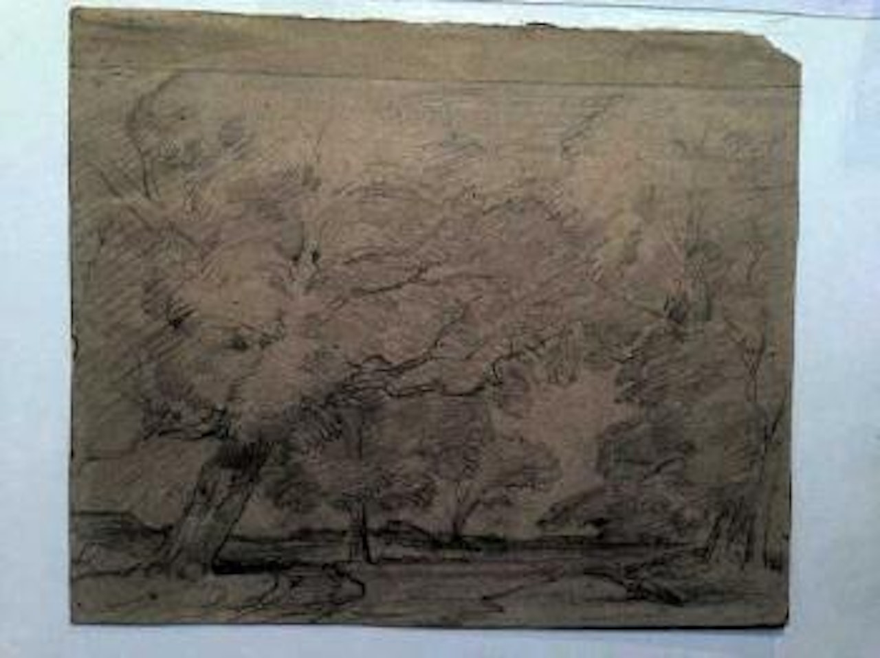 Les grands arbres by Théodore Rousseau