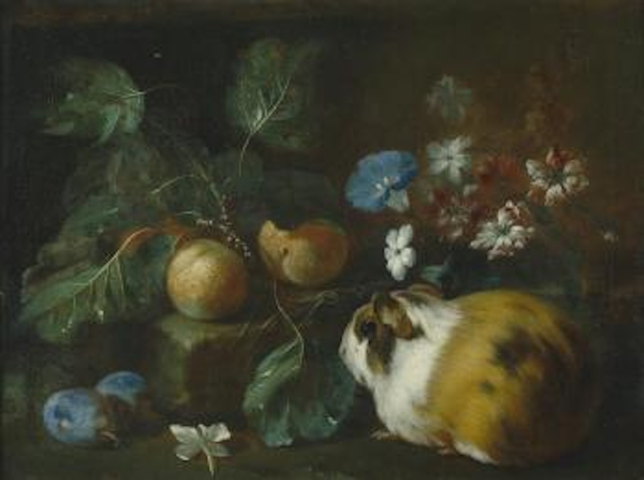 Stilleben mit Blumen, Früchten und einem Meerschweinchen by Franz Werner von Tamm