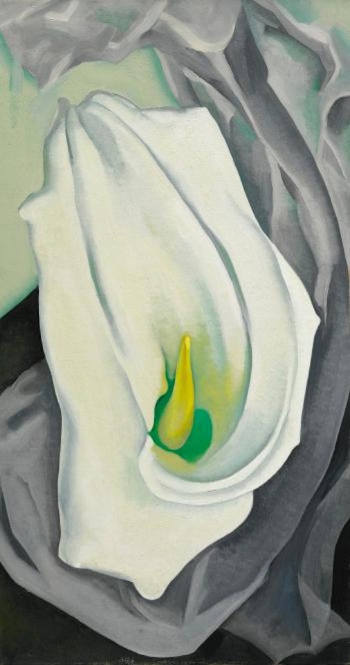 White Calla Lily by Georgia O'Keeffe