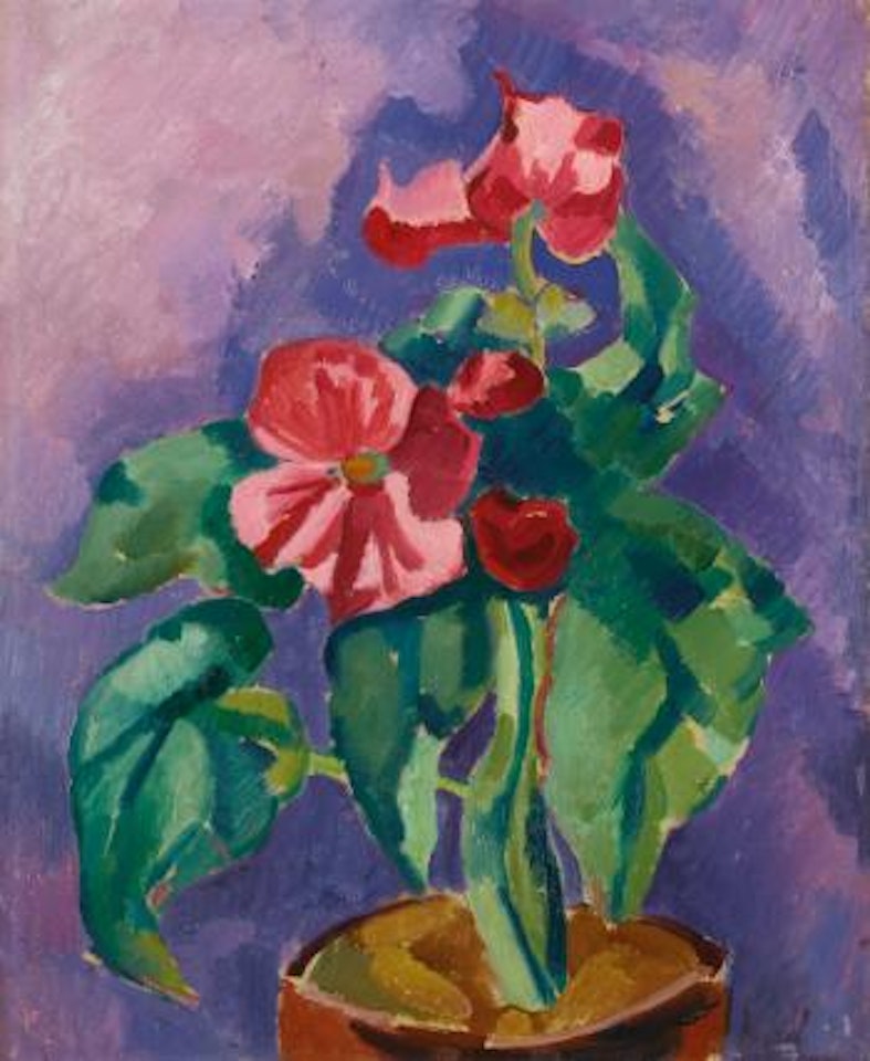 Pink Begonias (Still Life: Pink Begonia) by Marsden Hartley