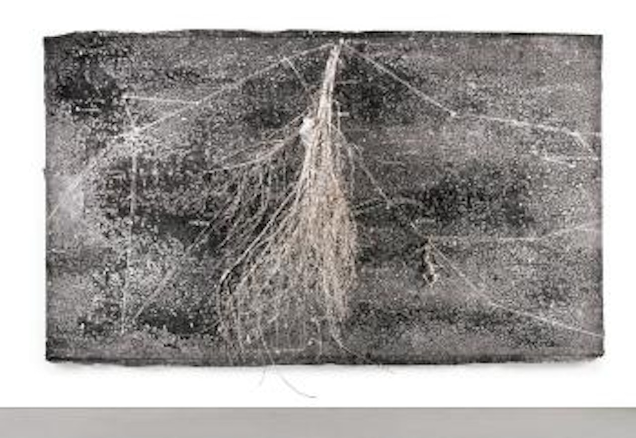 Wassermann (Aquarius, The Constellation) by Anselm Kiefer