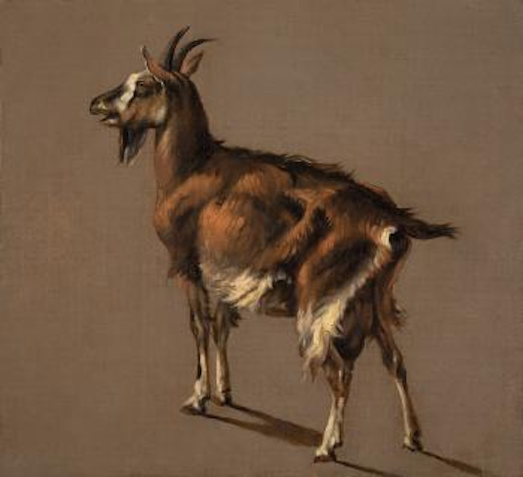 Ziege by Jacob Philipp Hackert