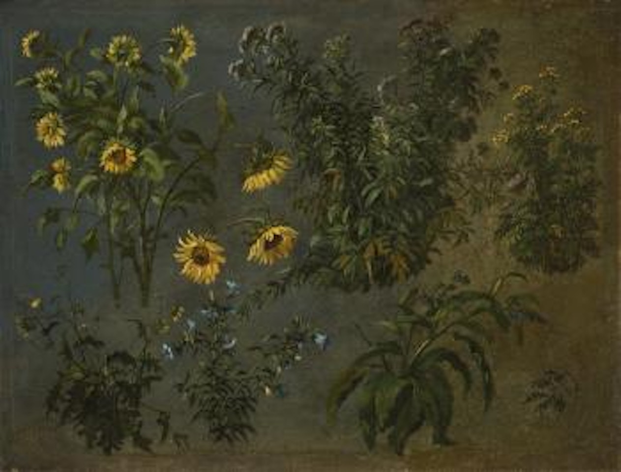 Blumen by Christian Friedrich Gille