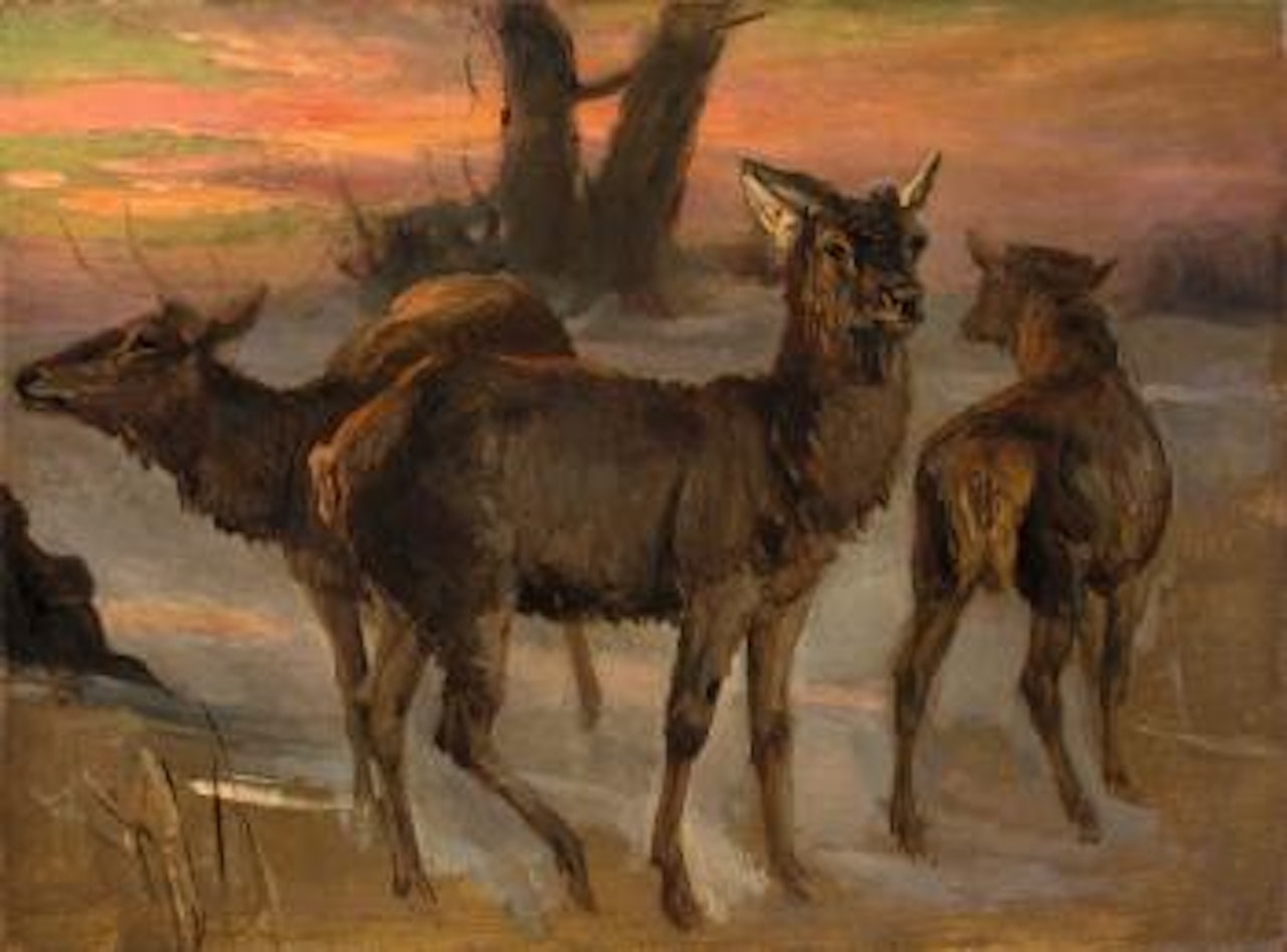 Rotwild Bei Sonnenuntergang by Christian Friedrich Gille