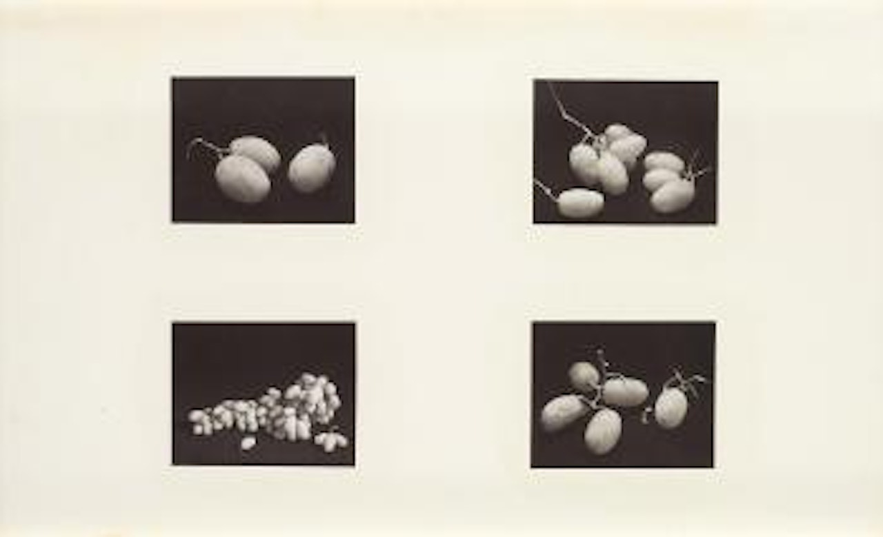 Four Photographs of Grapes (A), New York by Irving Penn