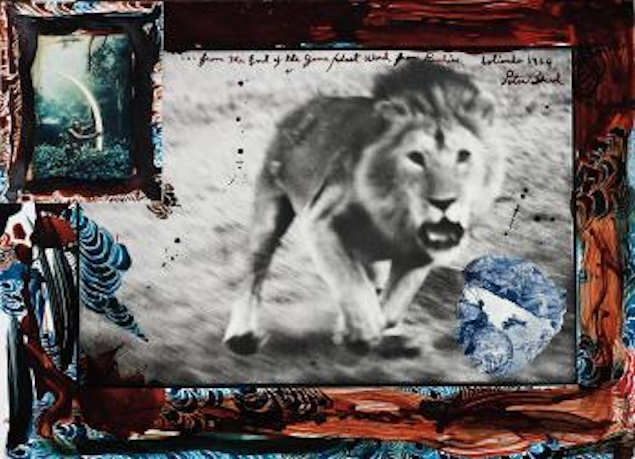 Loliondo Lion Charge by Peter Beard