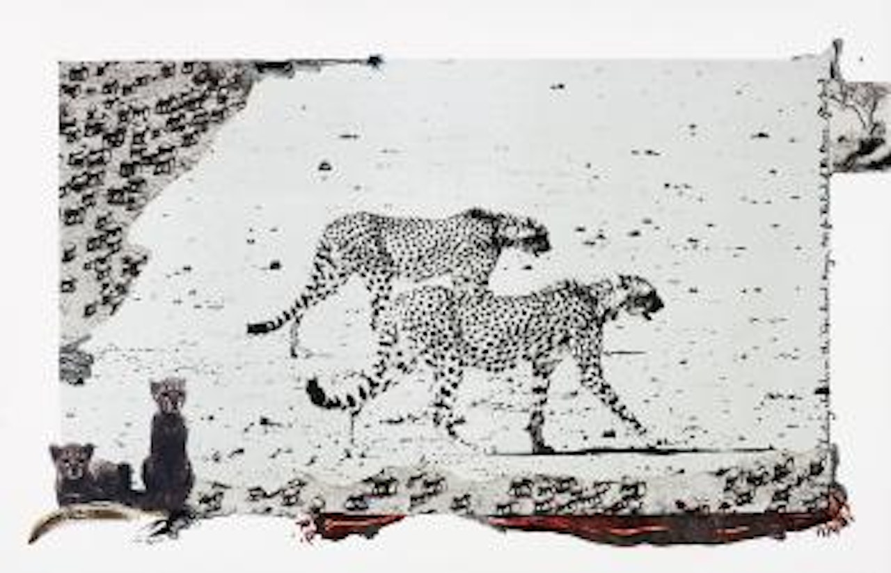 Hunting Cheetahs on the Taru Desert, Kenya by Peter Beard