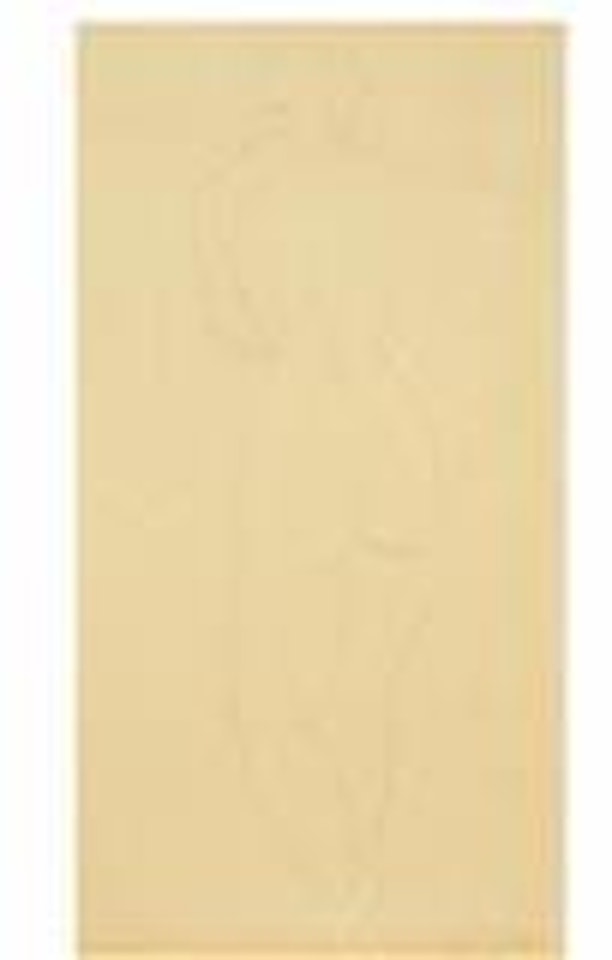 Nudo femminile di schiena by Amedeo Modigliani