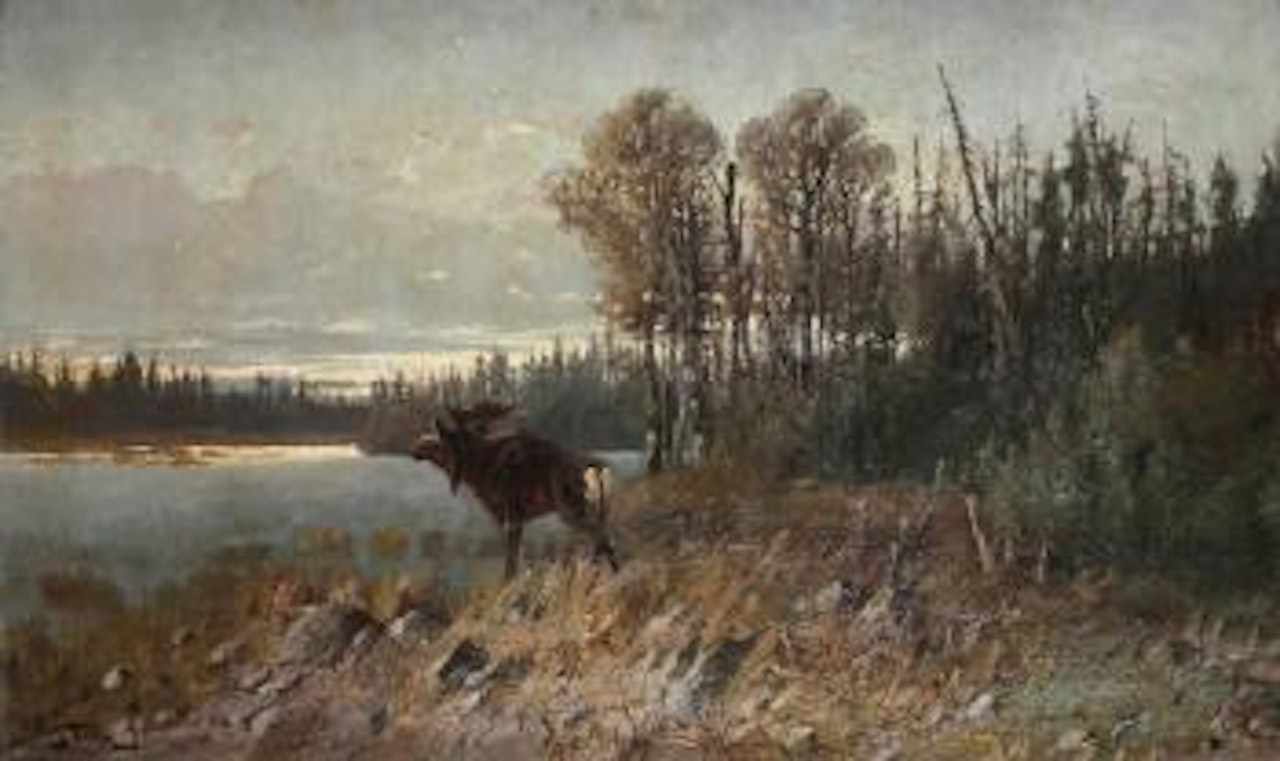 Paysage de l'est américain à l'élan by John Fery