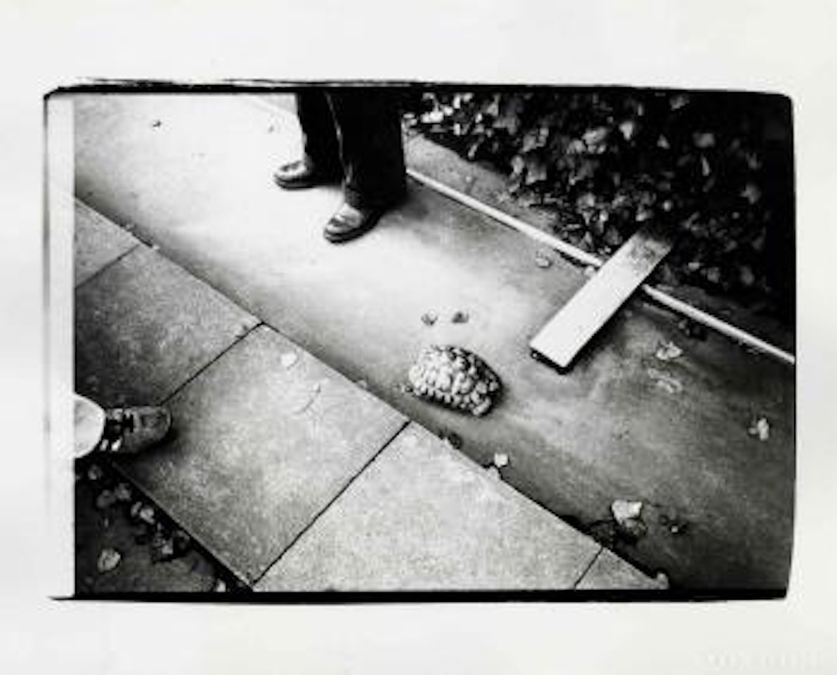 Turtle by Andy Warhol