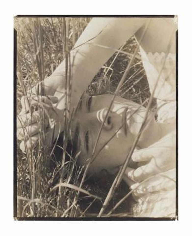 The Blue Sky - Dana Steichen, Long Island, 1923 by Edward Steichen